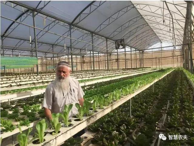 以色列的智能(néng)溫室大棚，真是太..了！